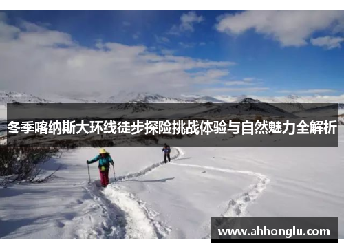 冬季喀纳斯大环线徒步探险挑战体验与自然魅力全解析